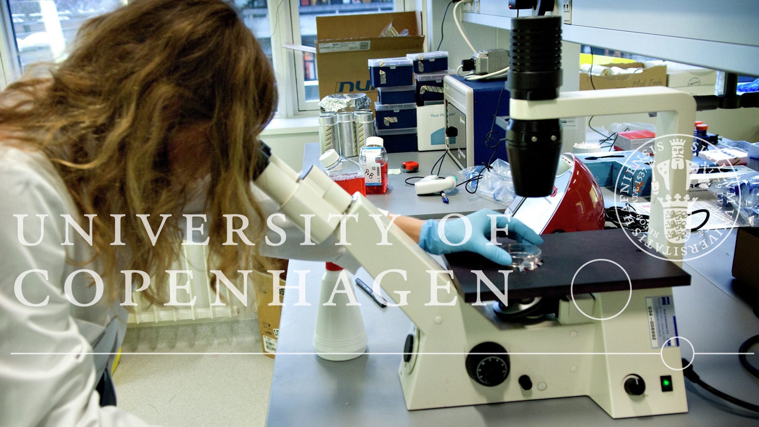 KU Sund photo by Søren Osgood