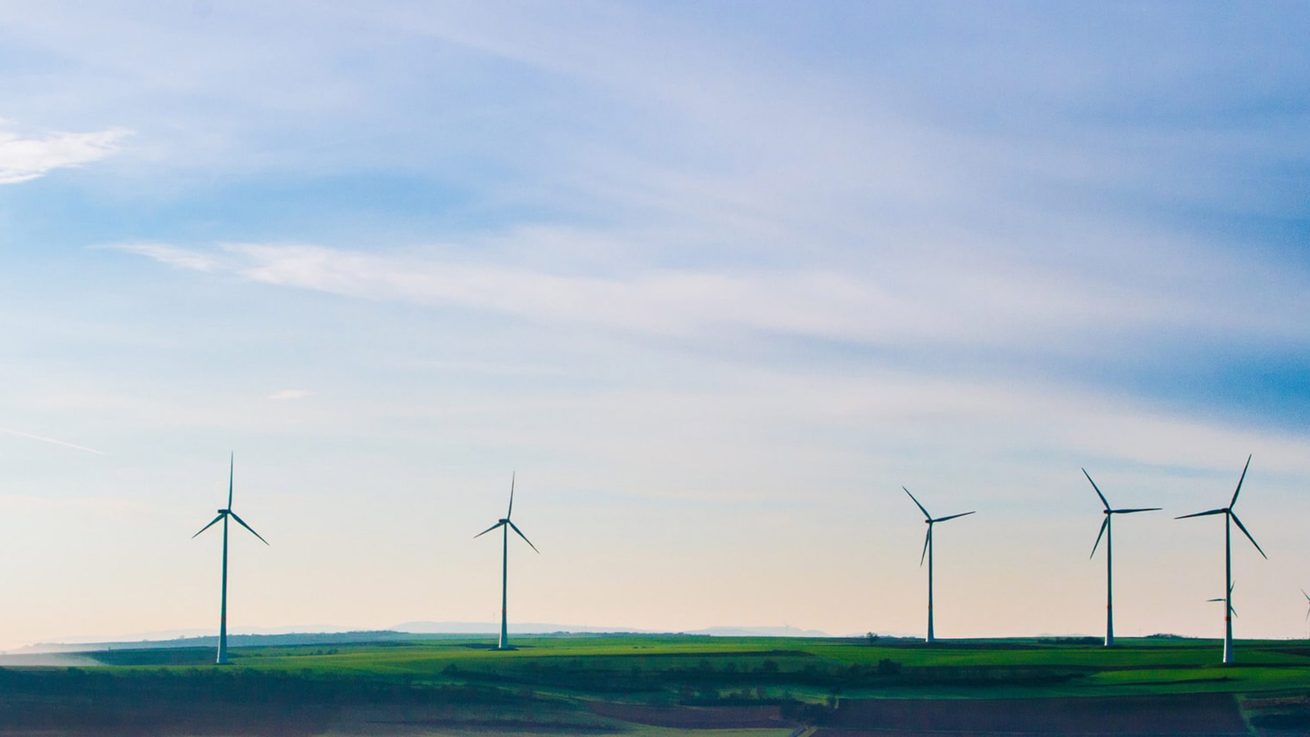 Photo Karsten Wurth on Unsplash